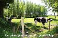 Meat&Greet org.PIPA_ (206)